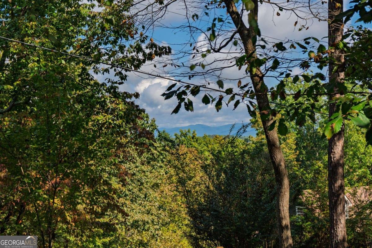 52 Hilary Court Ellijay - 23