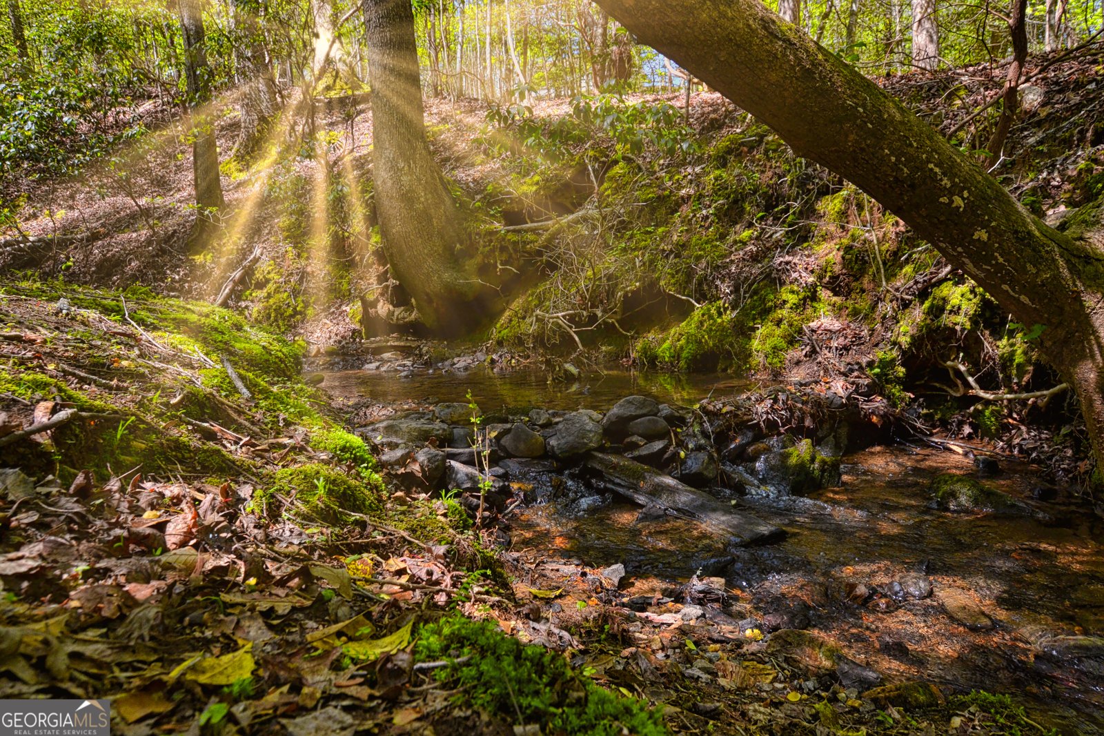 52 Hilary Court Ellijay - 27