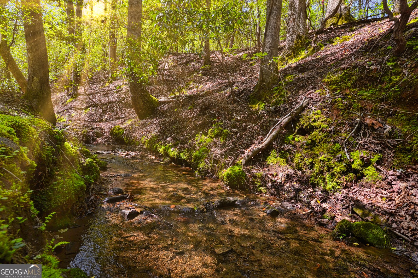 52 Hilary Court Ellijay - 29