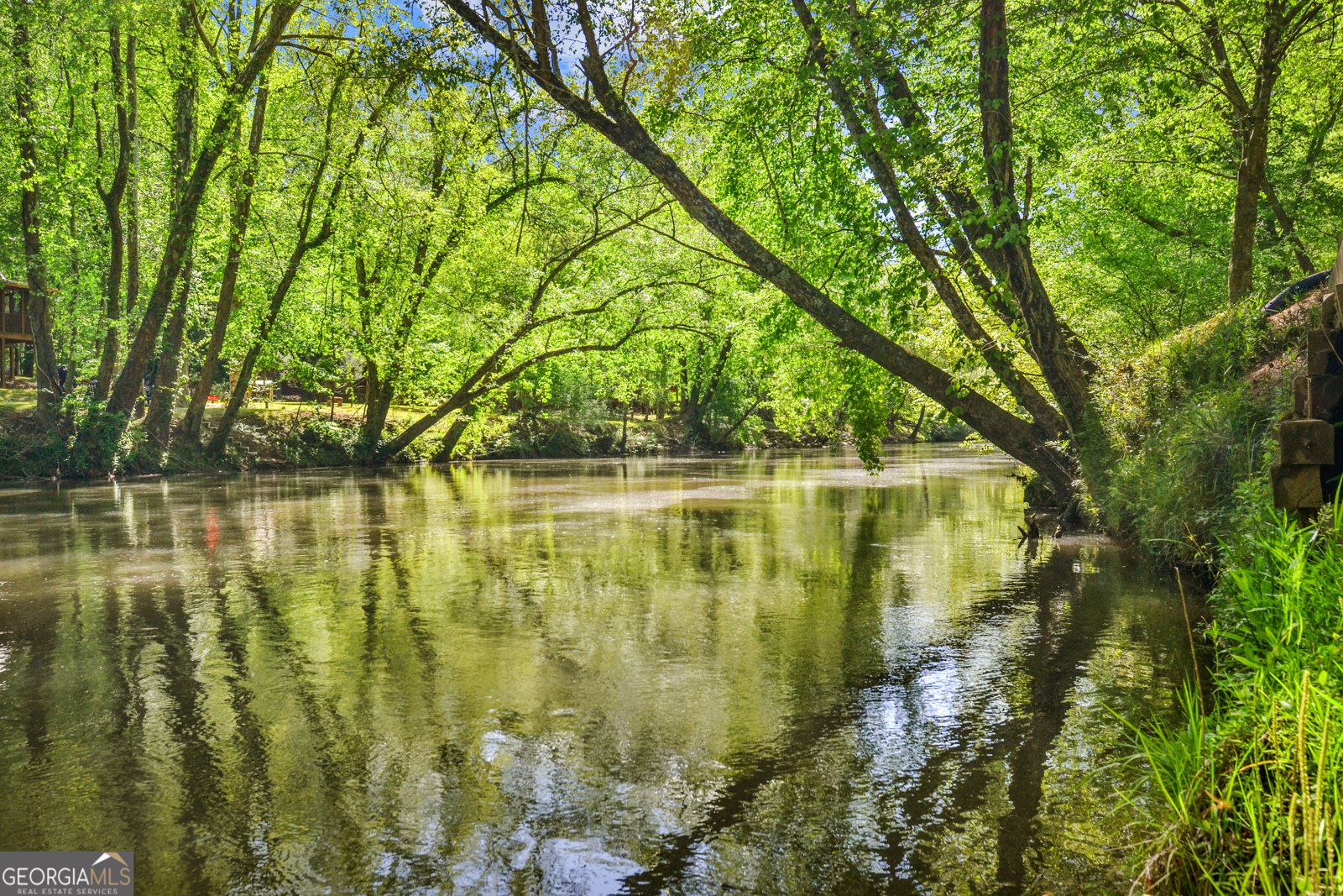 52 Hilary Court Ellijay - 54