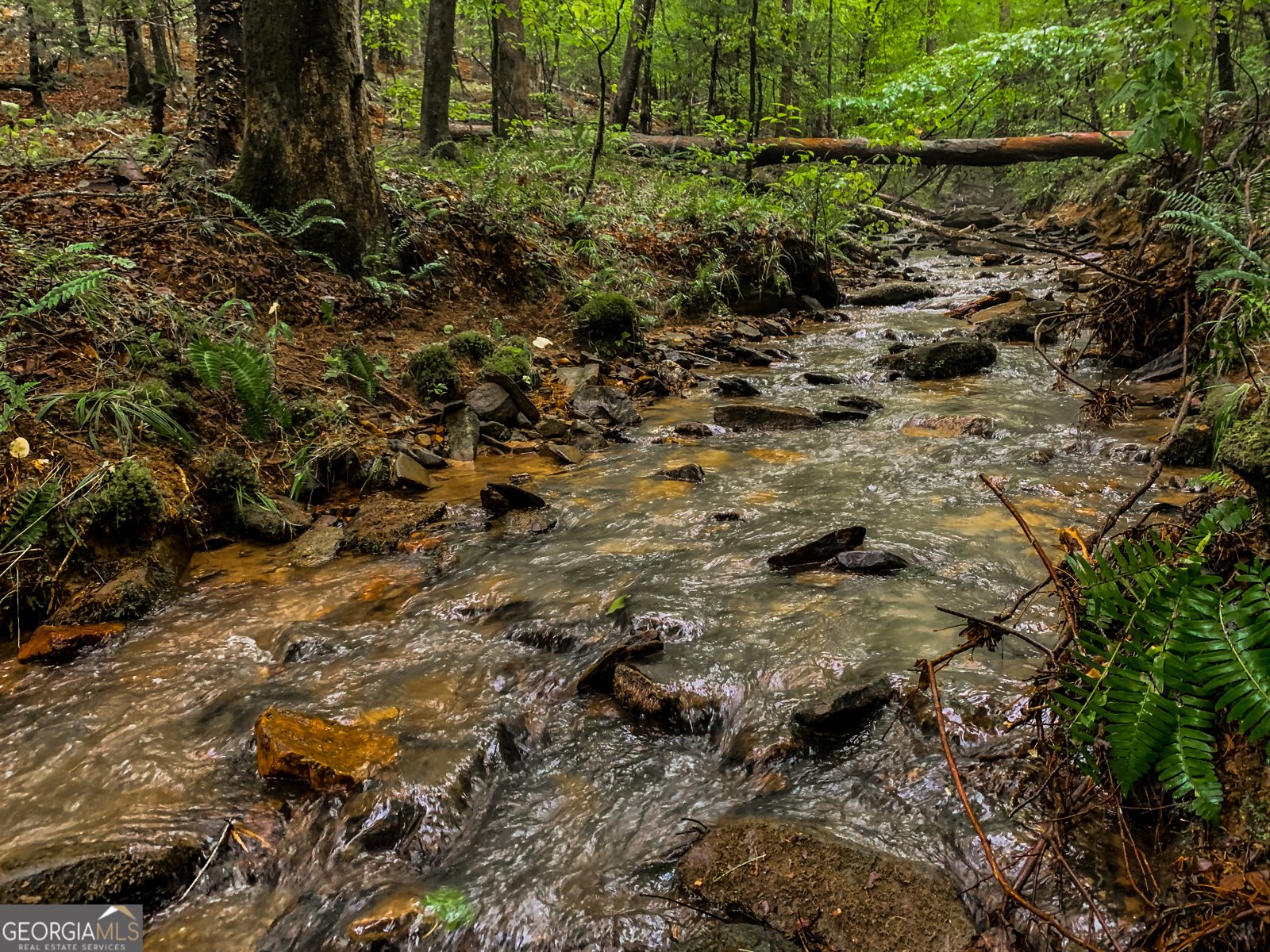 52 Hilary Court Ellijay - 56