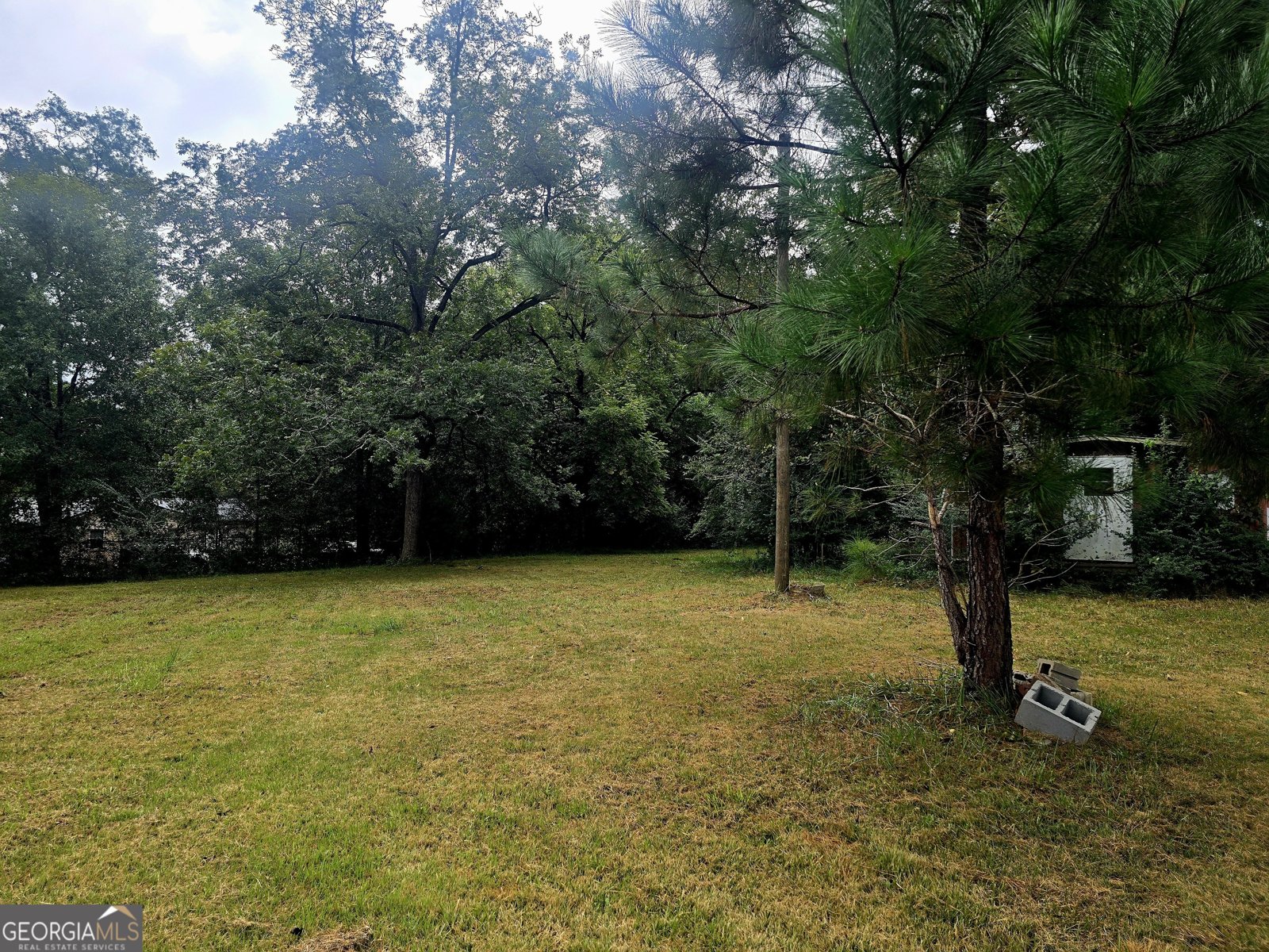 317 BARNETT Washington - 5