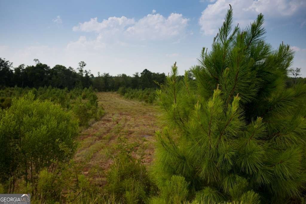 32 Oyster Flats Wynd Brunswick - 26