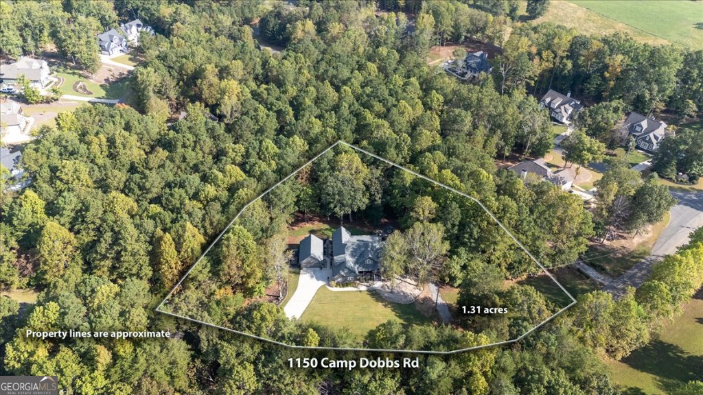 1150 Camp Dobbs Road Jasper - 16