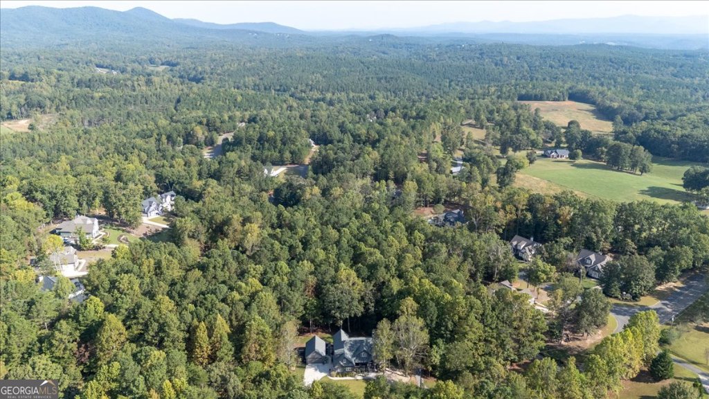 1150 Camp Dobbs Road Jasper - 18