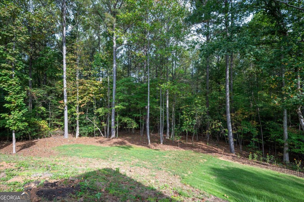 1150 Camp Dobbs Road Jasper - 21