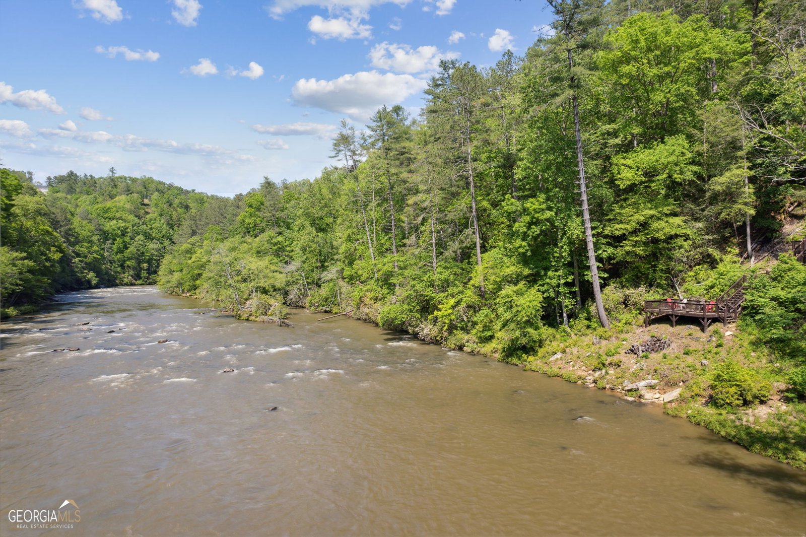 462 Lyric Lane Ellijay - 63