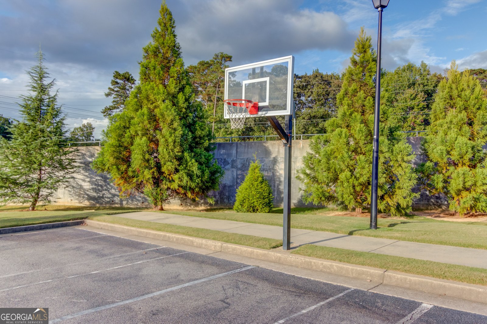 2941 Climbing Rose Court Buford - 61