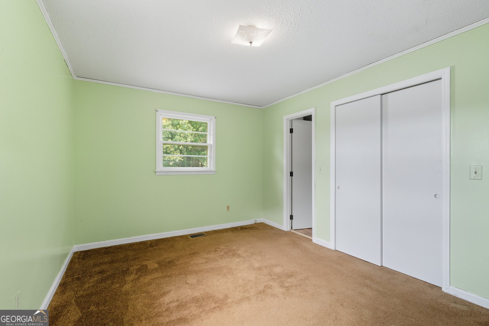 147 Gibson Street Cornelia - 19