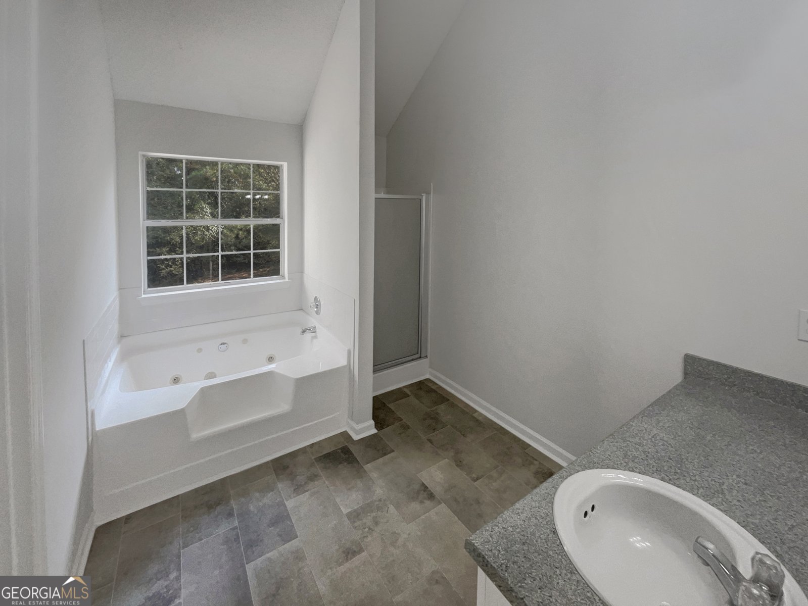 6590 Manor Creek Drive Douglasville - 12