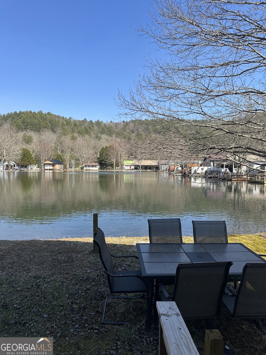 4220 Riverbank Run Hiawassee - 7