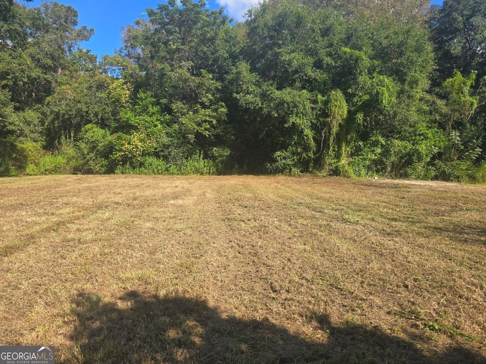 72 Marcia Lane Thomasville - 42