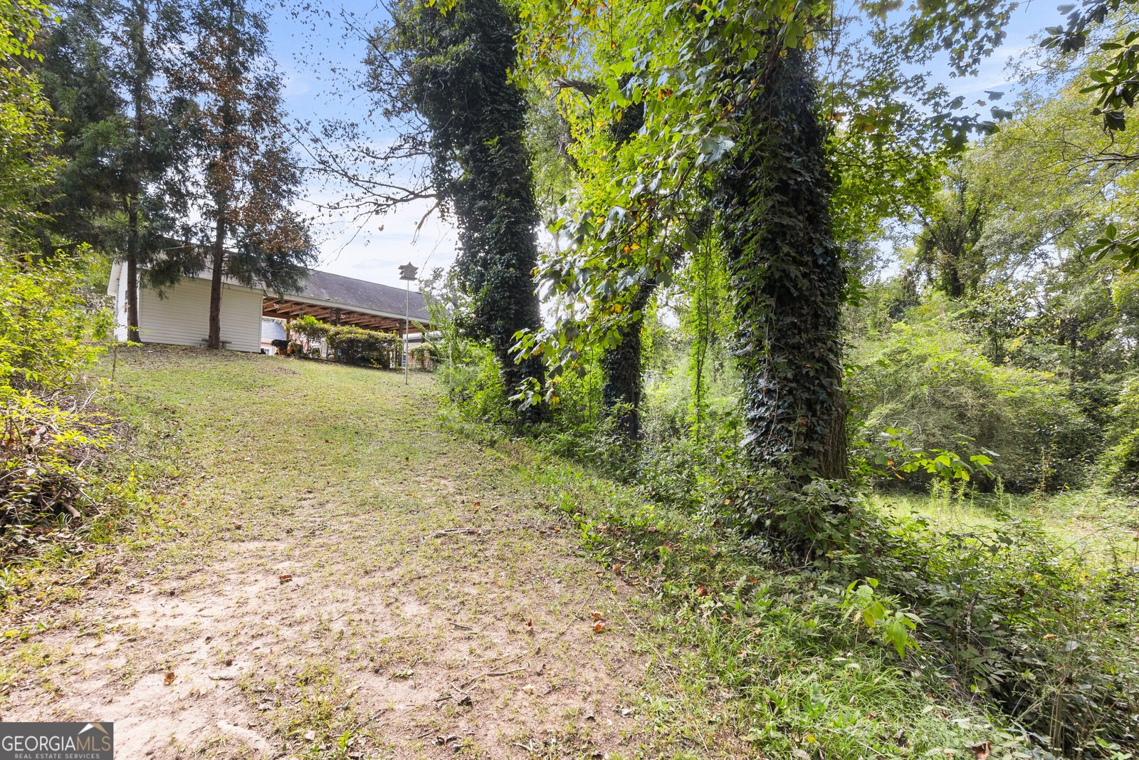 333 Main Street Forsyth - 59