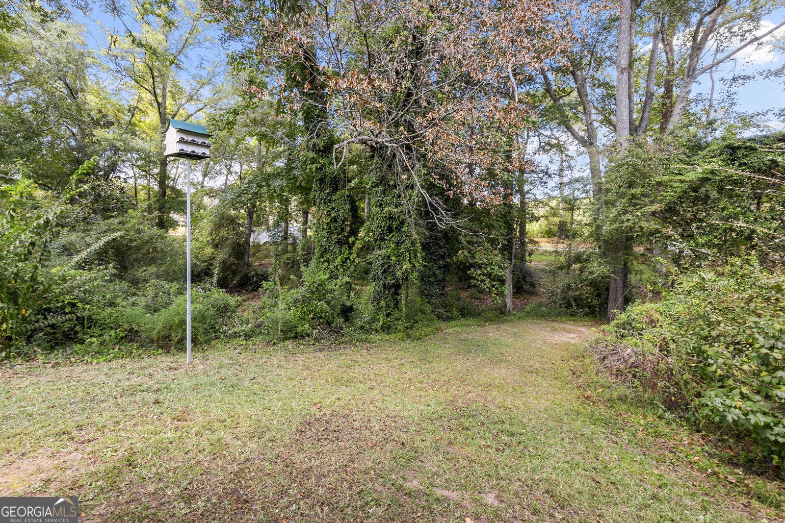 333 Main Street Forsyth - 66