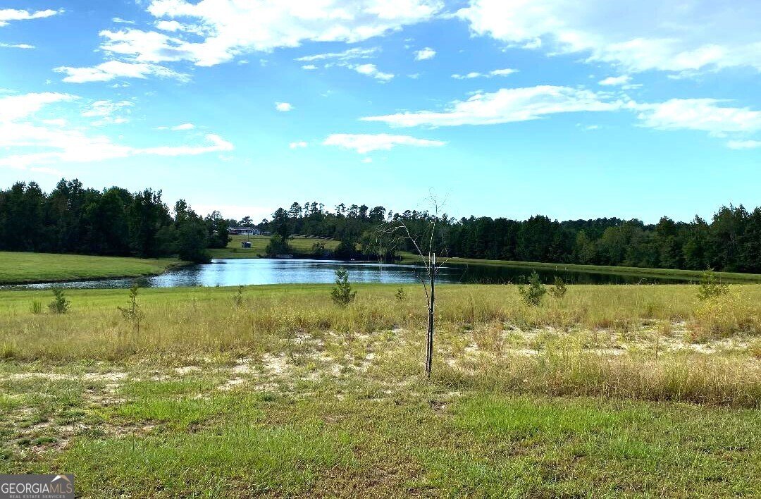 444 Halls Bridge Road Swainsboro - 4