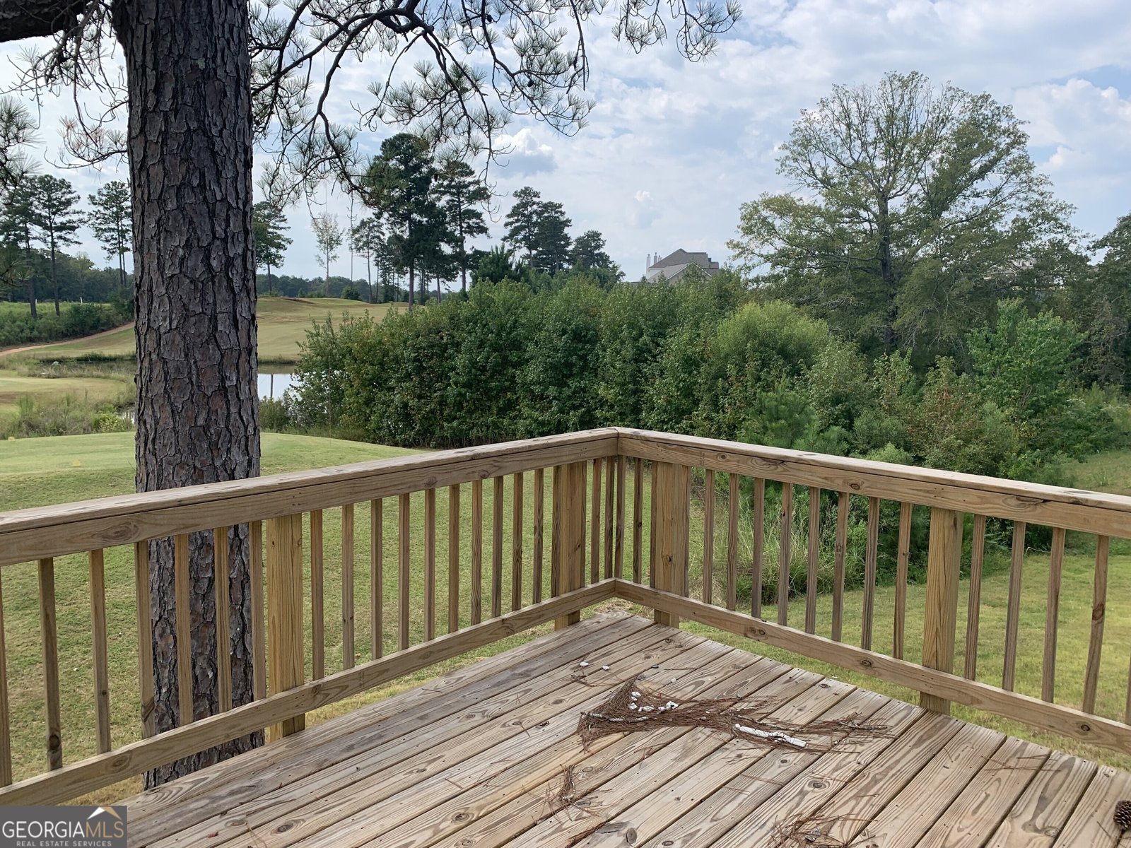 204 Trellis Walk Macon - 19