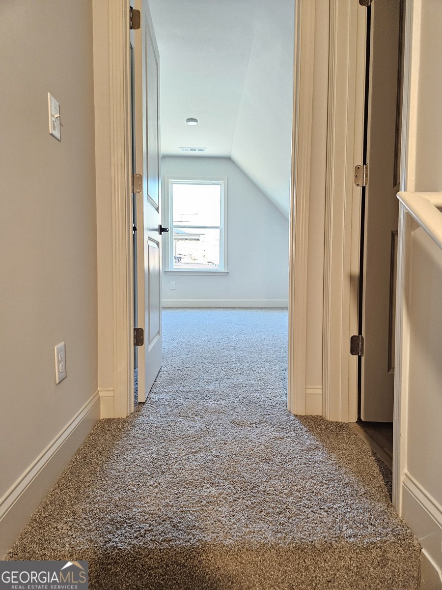 228 TRELLIS Walk Macon - 12