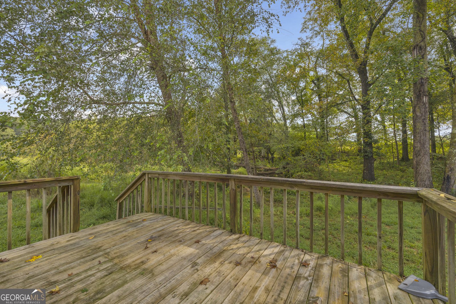 308 Idle Acres Lane Lavonia - 24