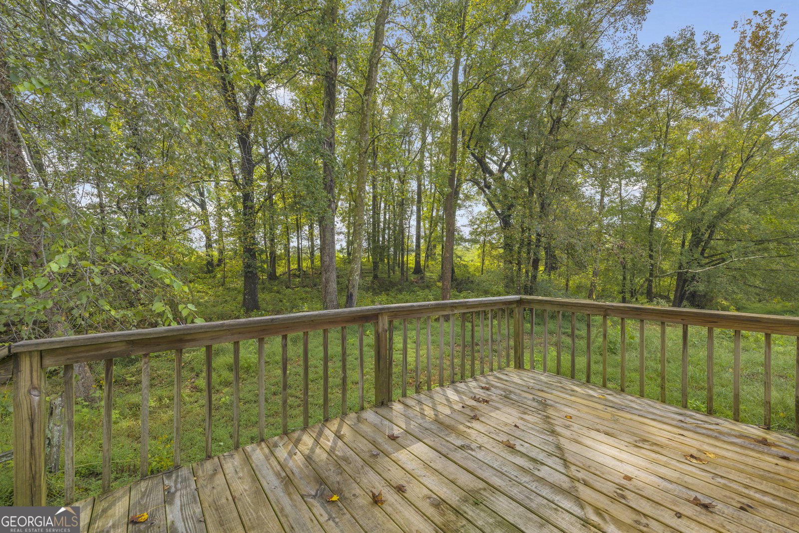 308 Idle Acres Lane Lavonia - 25