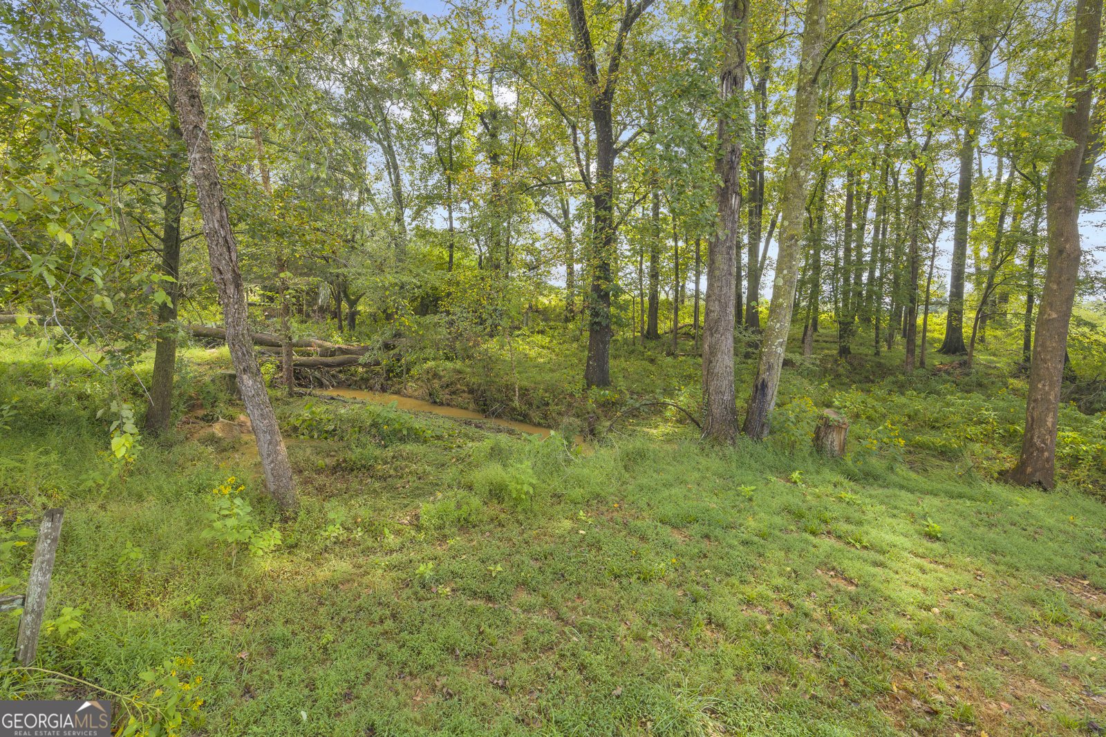 308 Idle Acres Lane Lavonia - 26