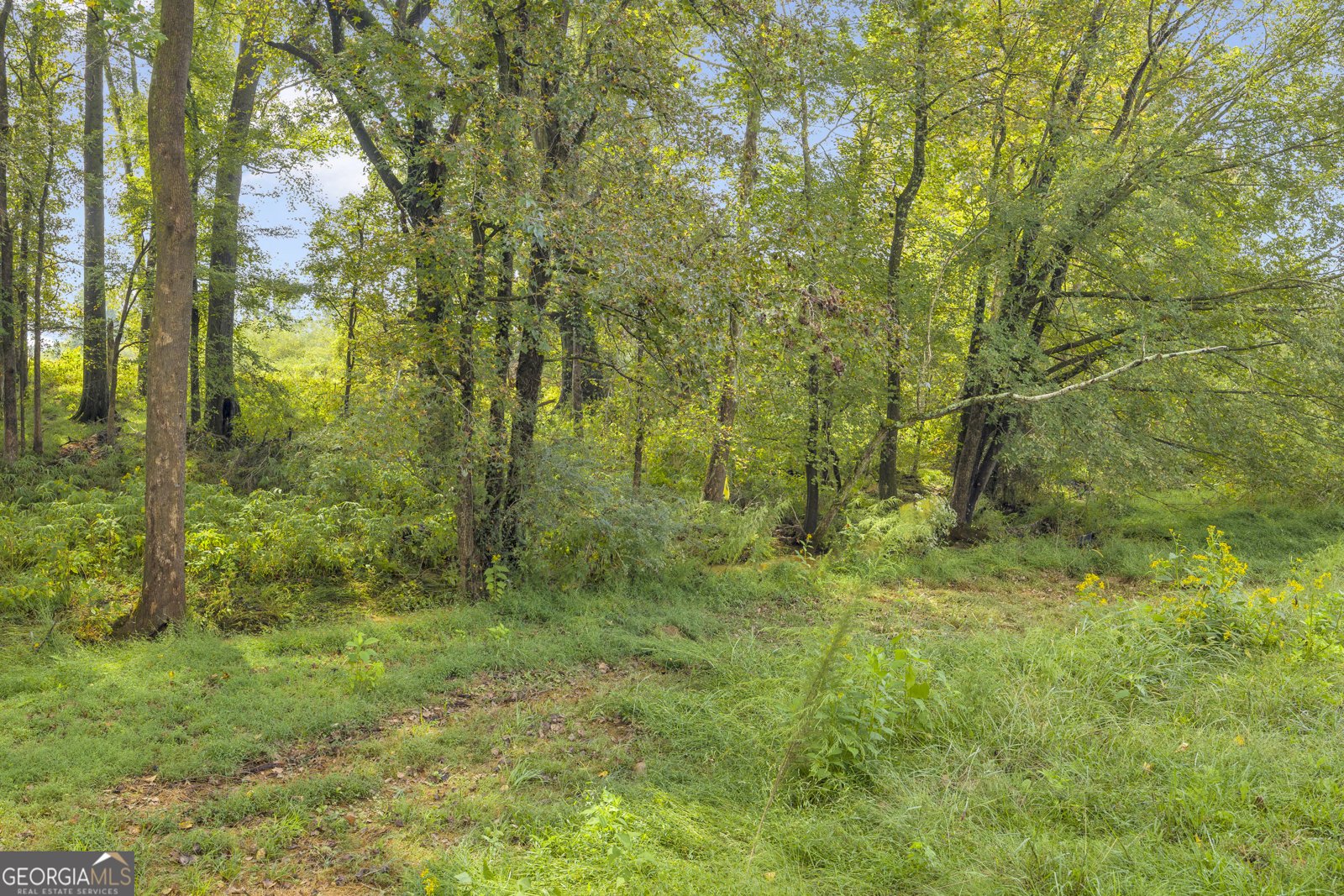 308 Idle Acres Lane Lavonia - 27