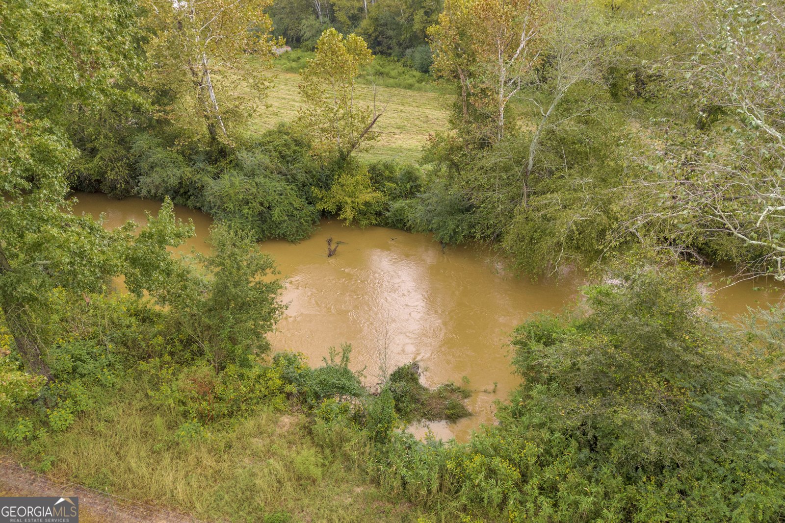 308 Idle Acres Lane Lavonia - 3