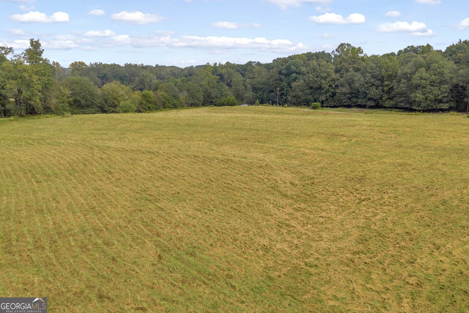 308 Idle Acres Lane Lavonia - 30