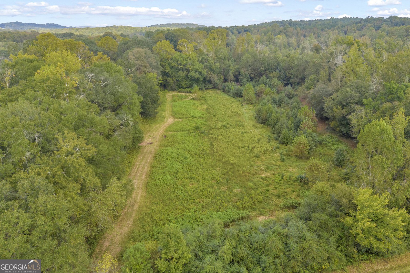 308 Idle Acres Lane Lavonia - 33