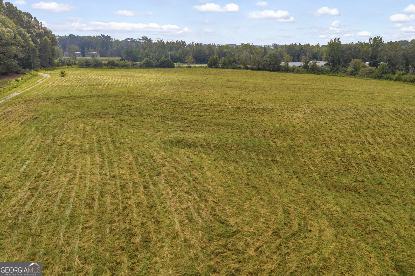 308 Idle Acres Lane Lavonia - 34