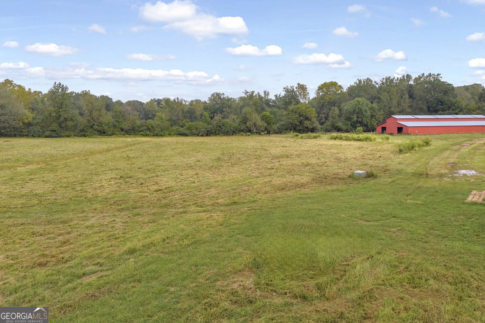 308 Idle Acres Lane Lavonia - 36