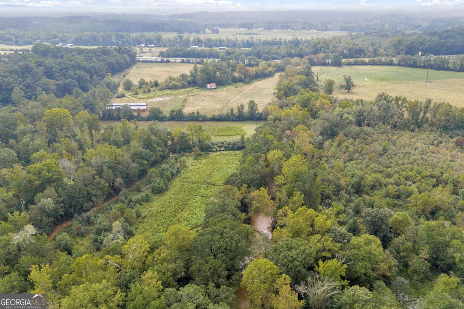 308 Idle Acres Lane Lavonia - 46