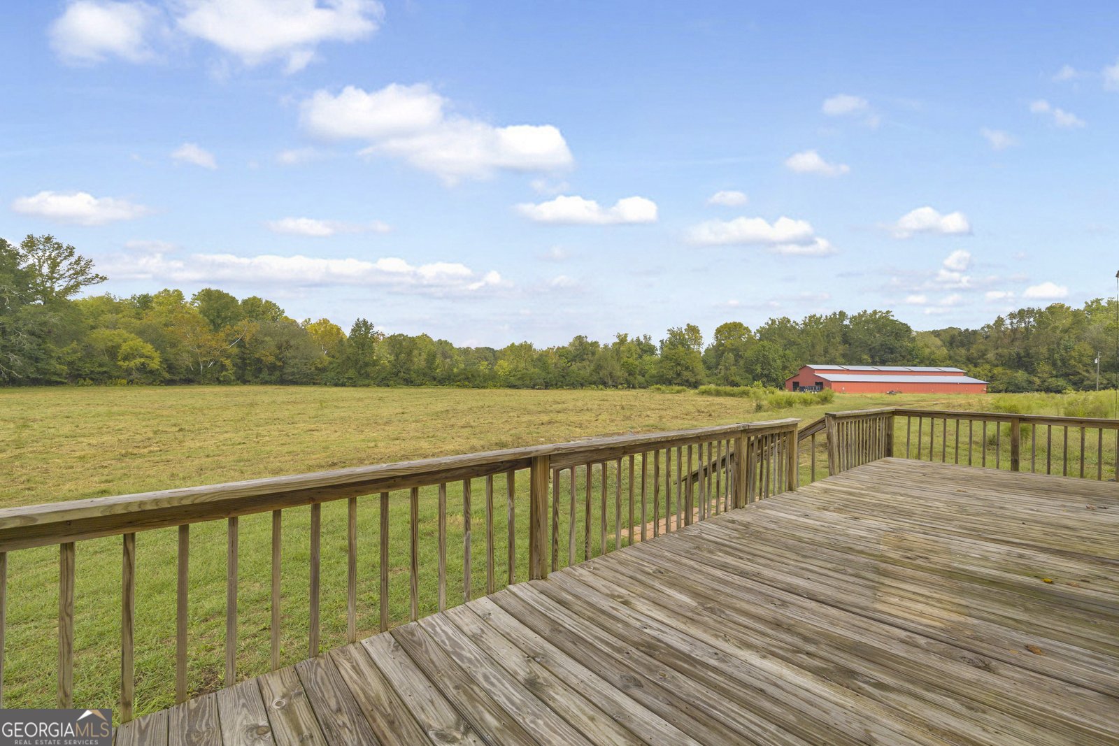 308 Idle Acres Lane Lavonia - 6