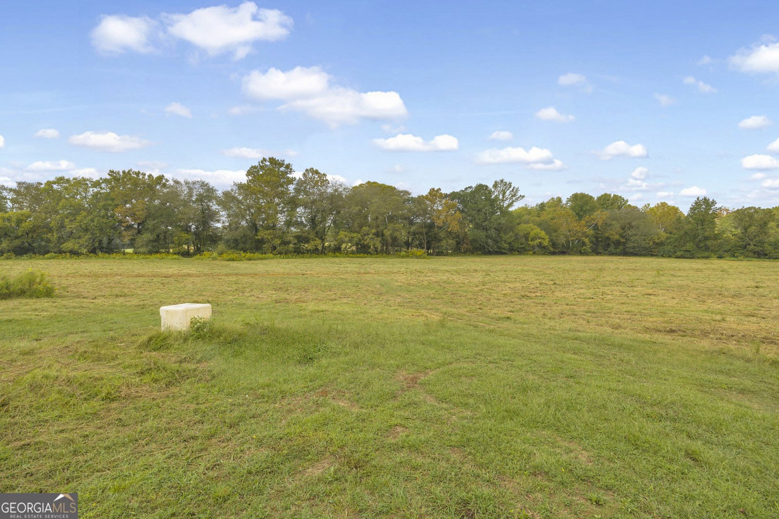 308 Idle Acres Lane Lavonia - 7