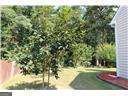 2402 Bancroft Way Buford - 4