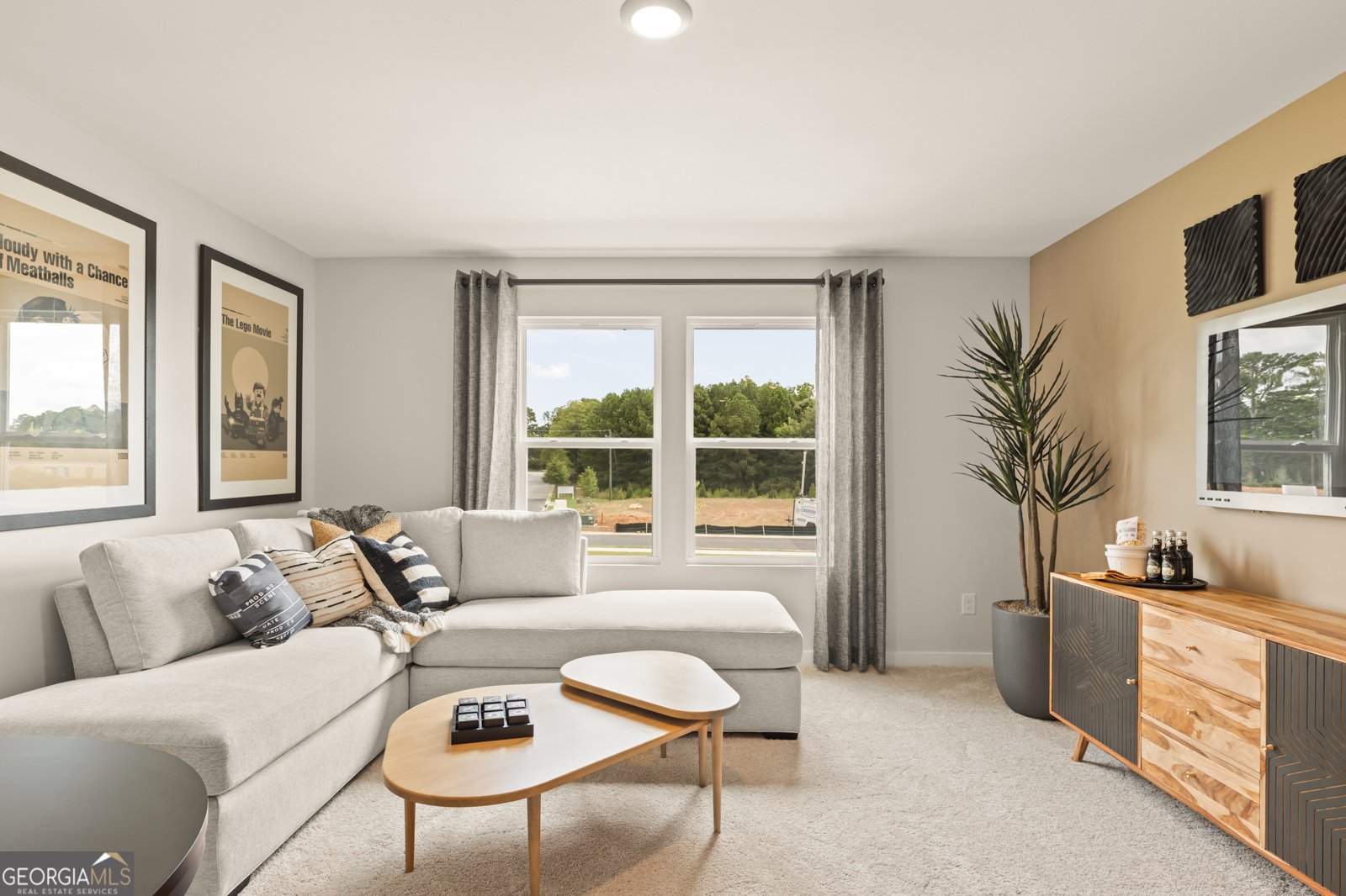 776 RUDDY Drive Grayson - 29