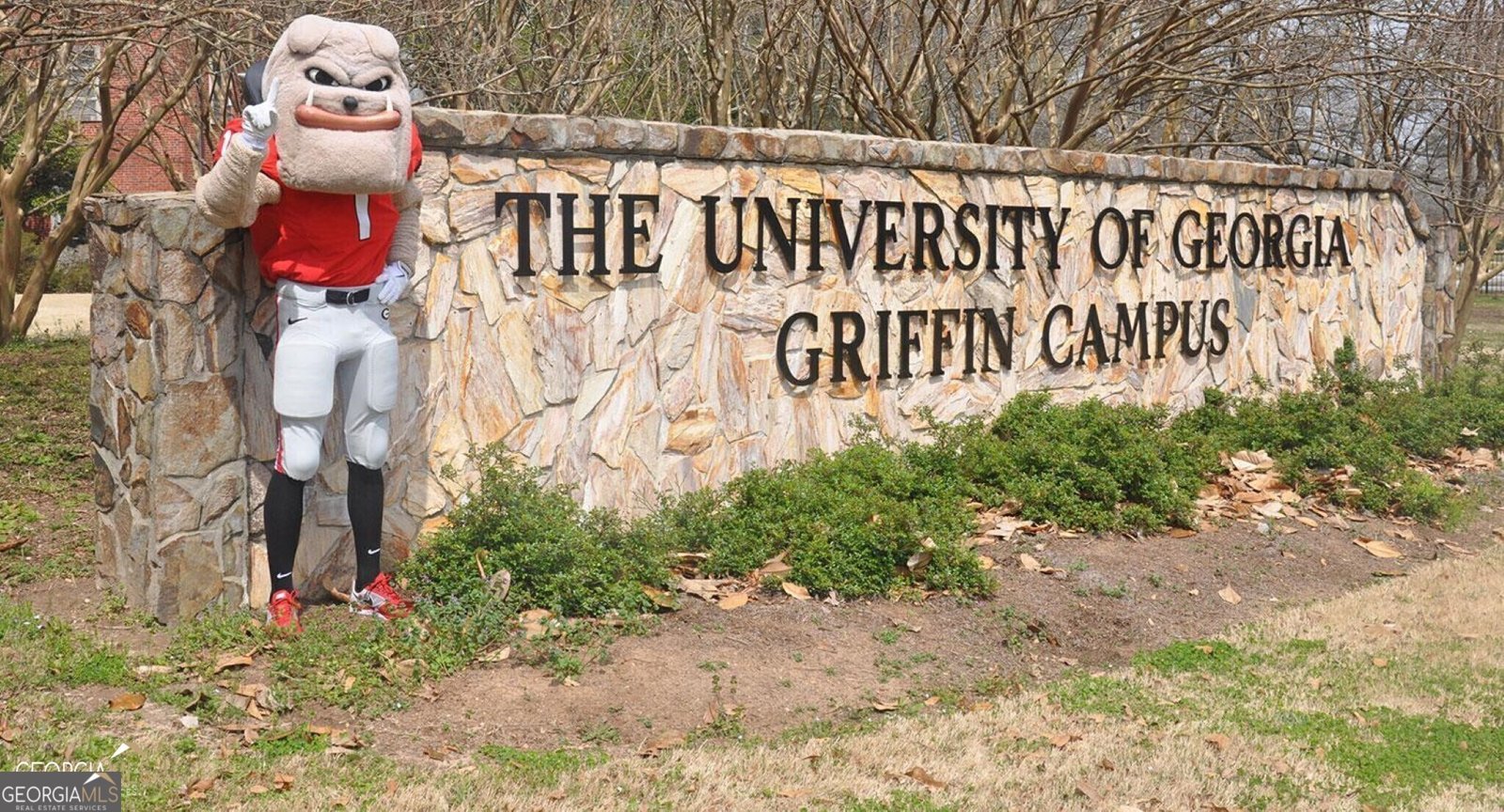 1156 Burgundy Drive Griffin - 43