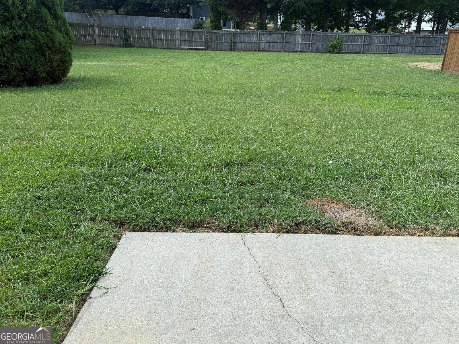 2909 Rusticwood Drive Snellville - 3
