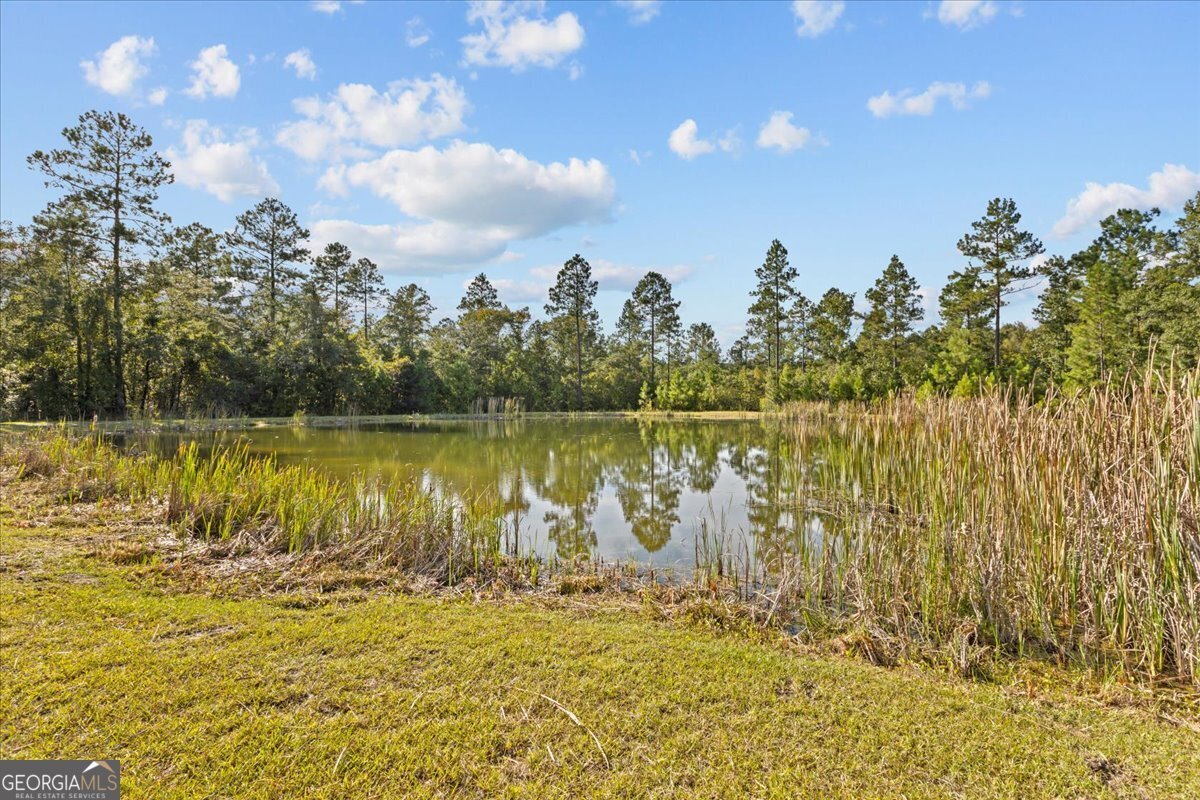 2273 Ga Highway 110 Folkston - 5
