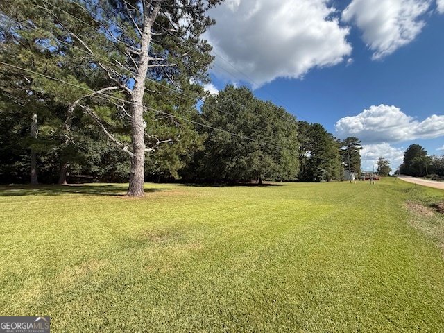 4886 Ga Highway 11 Hillsboro - 22