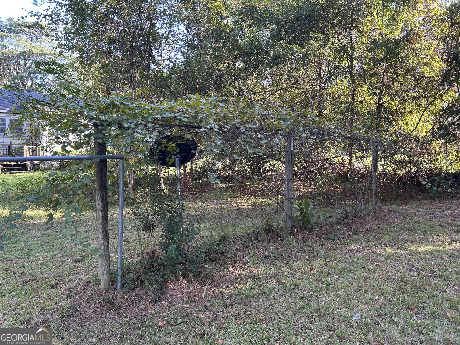 220 Page Street Eastman - 6