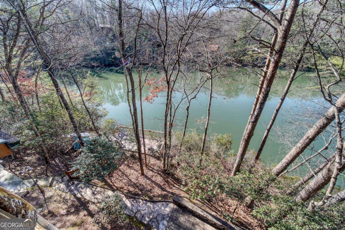 335 Cherry Lake Drive Blue Ridge - 26