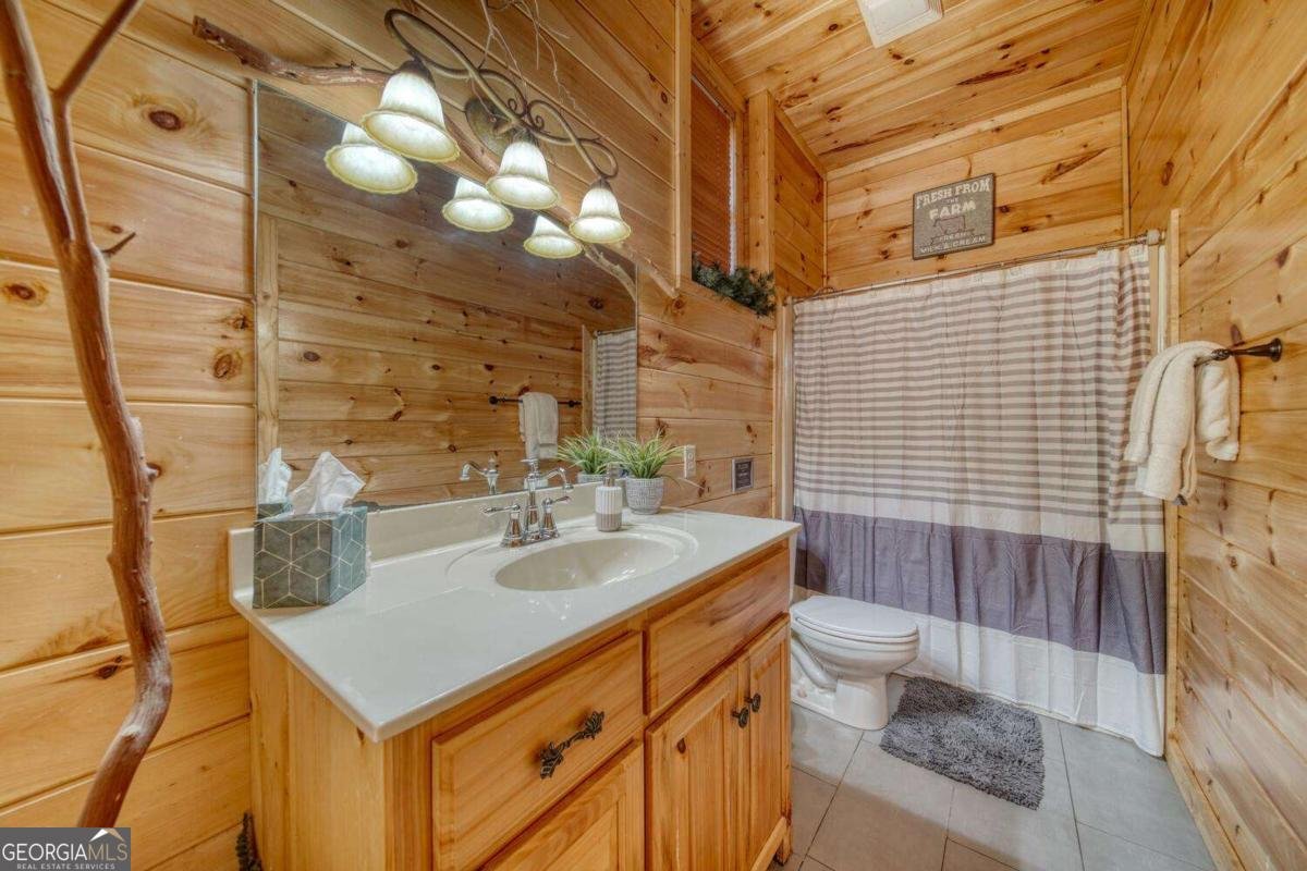 335 Cherry Lake Drive Blue Ridge - 35