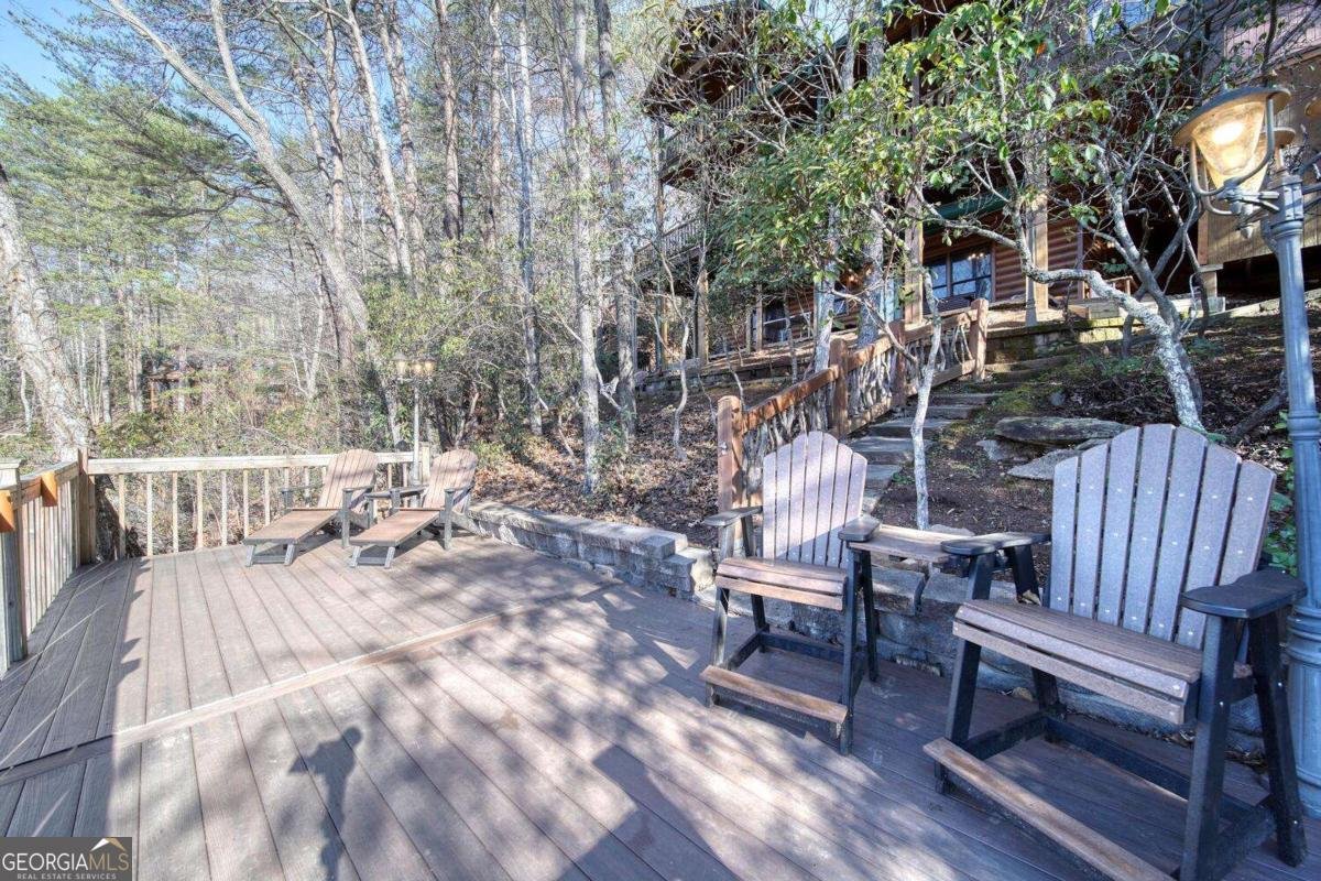 335 Cherry Lake Drive Blue Ridge - 45
