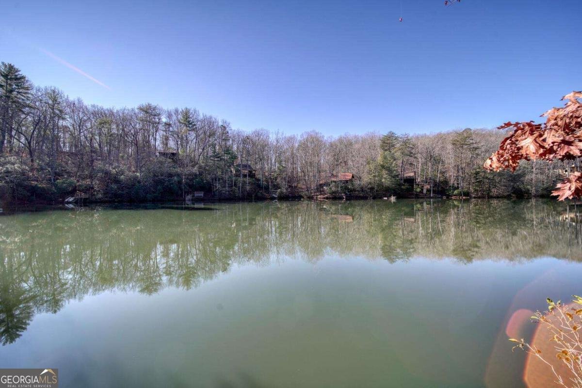 335 Cherry Lake Drive Blue Ridge - 47