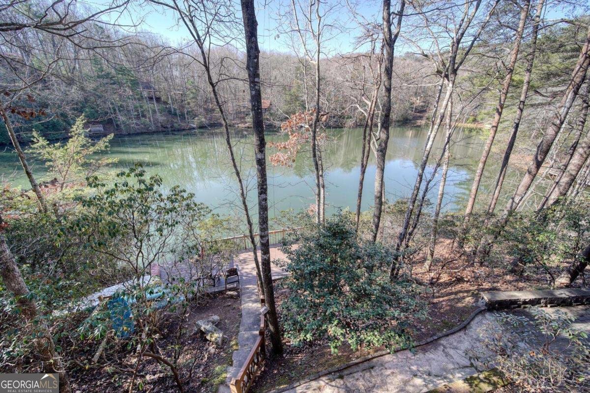 335 Cherry Lake Drive Blue Ridge - 51