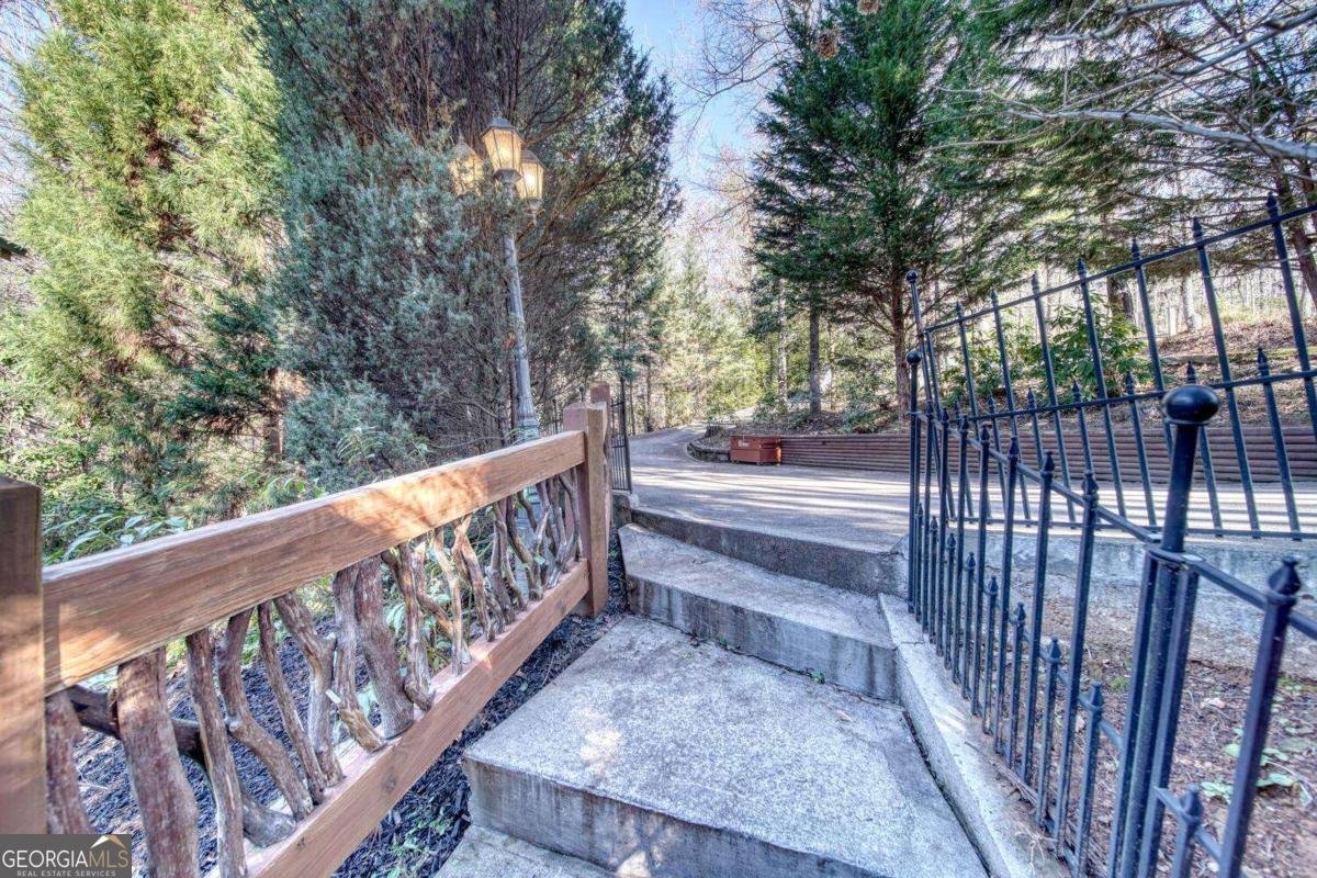 335 Cherry Lake Drive Blue Ridge - 53