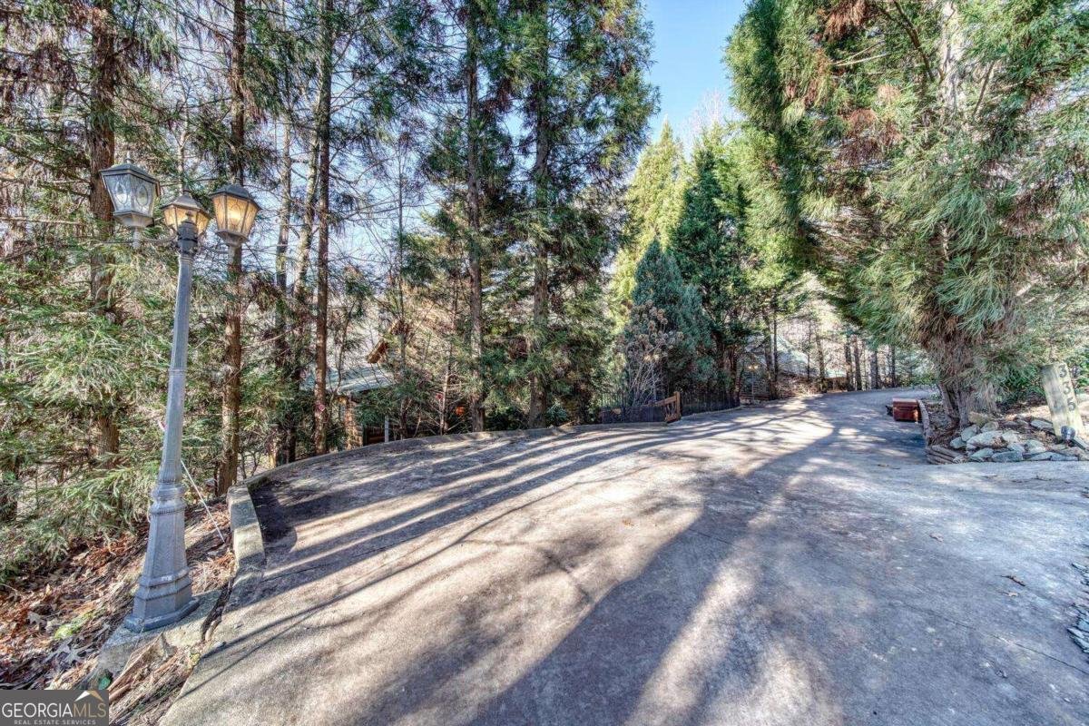 335 Cherry Lake Drive Blue Ridge - 54