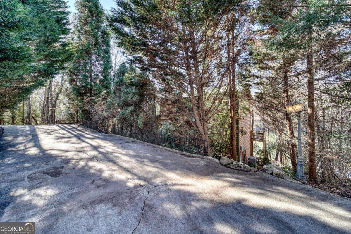 335 Cherry Lake Drive Blue Ridge - 55