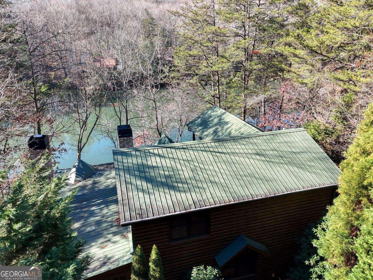 335 Cherry Lake Drive Blue Ridge - 57