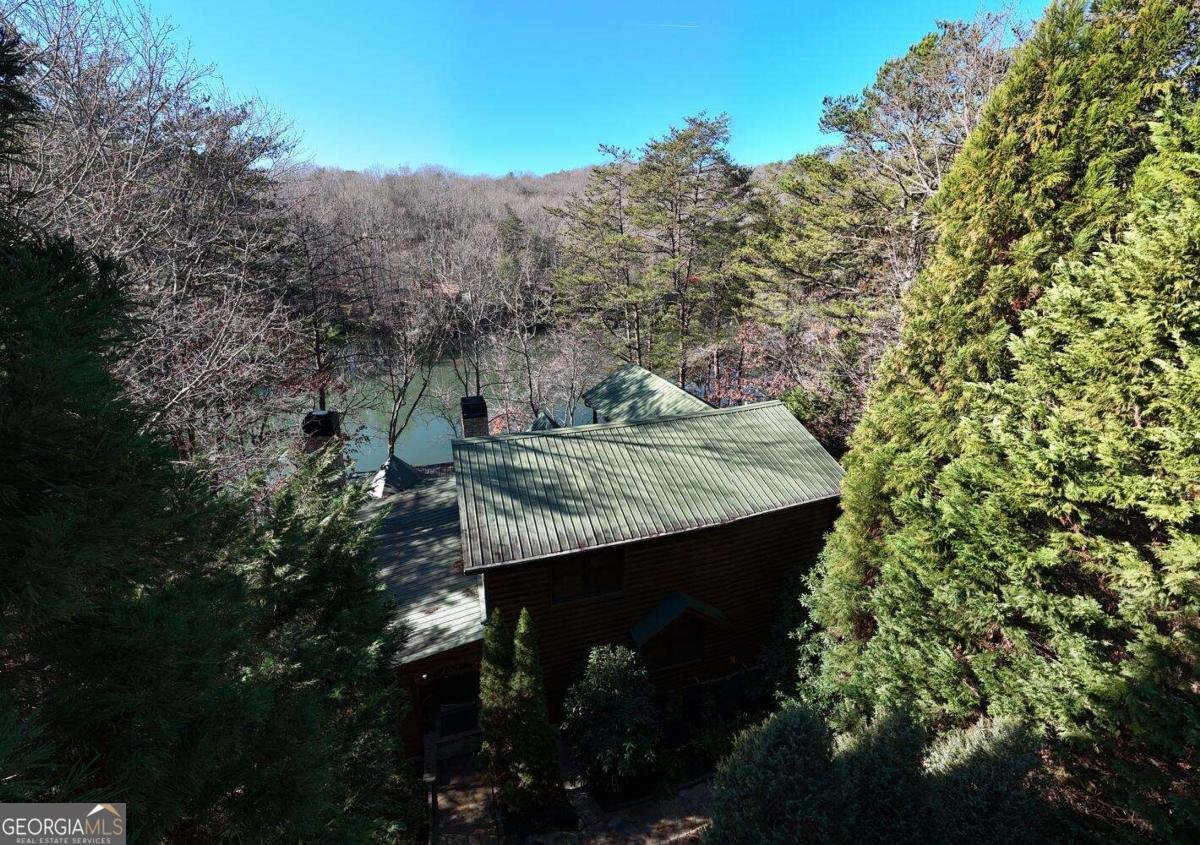 335 Cherry Lake Drive Blue Ridge - 58